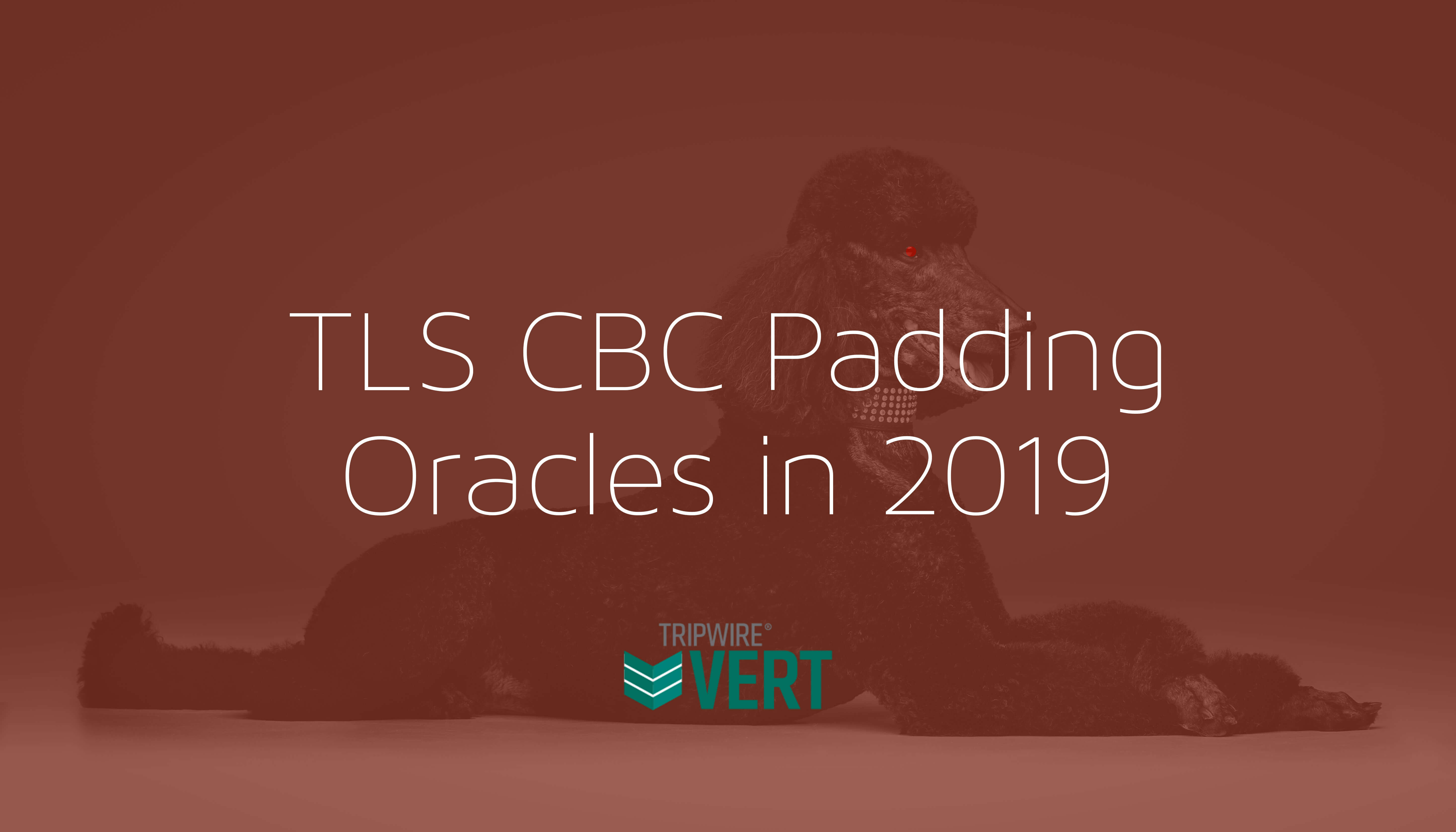 TLS CBC Padding Oracles in 2019