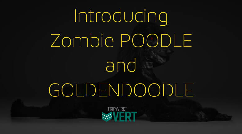 Introducing Zombie POODLE and GOLDENDOODLE