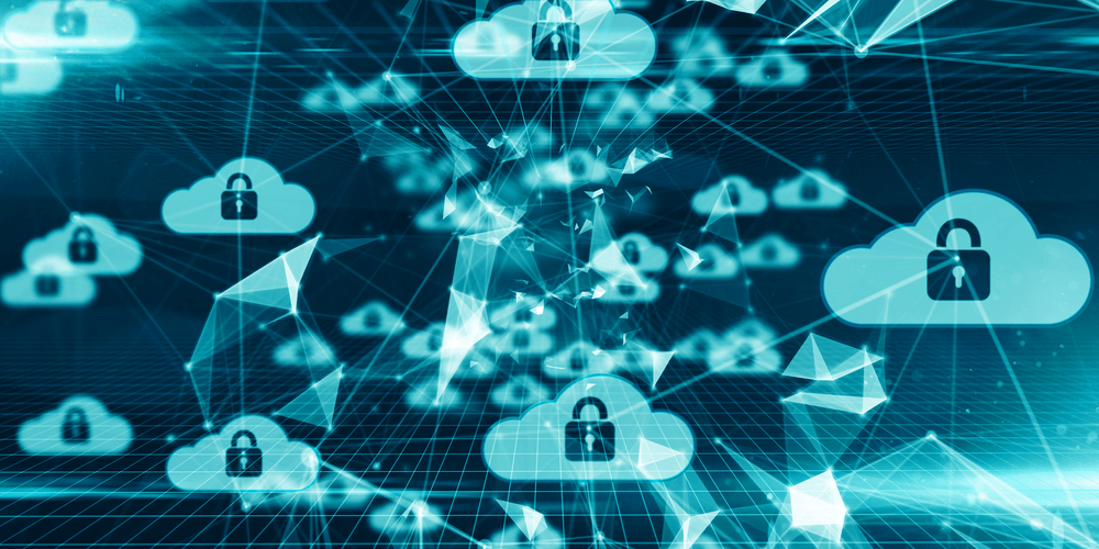 Cloud Security: A Cloud Provider-User Partnership