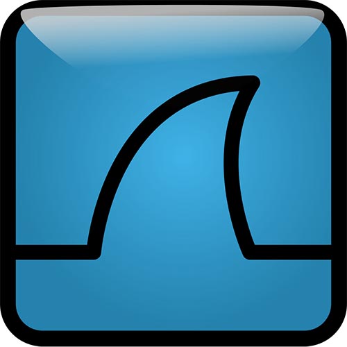 1024px-Wireshark_icon.svg_.jpg