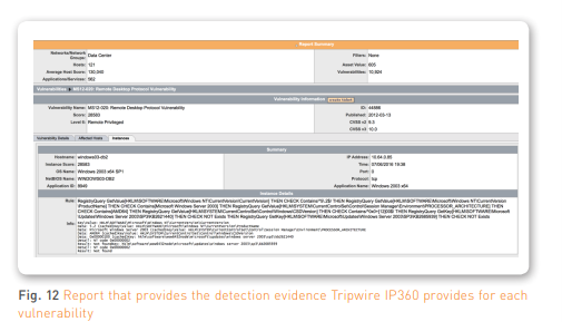 Fig. 12 Report that provides the detection evidence Tripwire IP360 provides for each  vulnerability