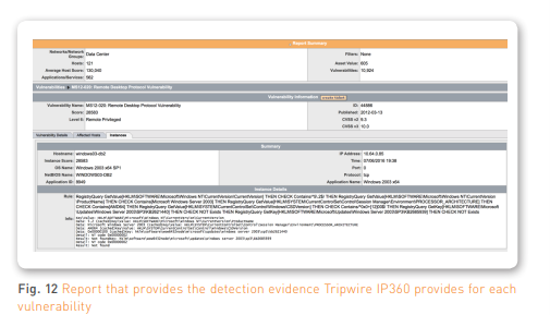 Fig. 12 Report that provides the detection evidence Tripwire IP360 provides for each vulnerability
