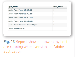 Fig. 13 Report showing how many hosts  are running which versions of Adobe  application