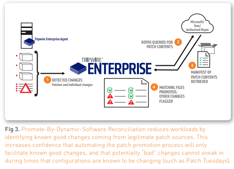 Fig 3. Promote-By-Dynamic-Software