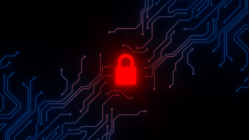 How an Intrusion Detection System Can Save Your Business