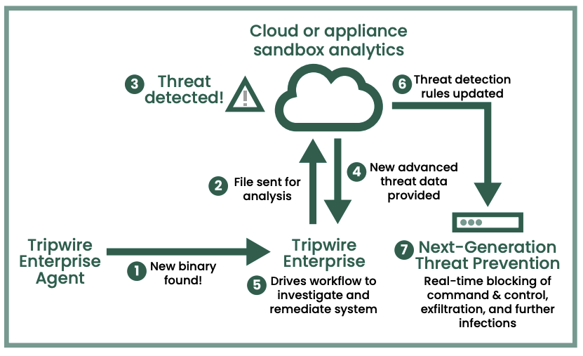Cloud or appliance sandbox analytics diagram