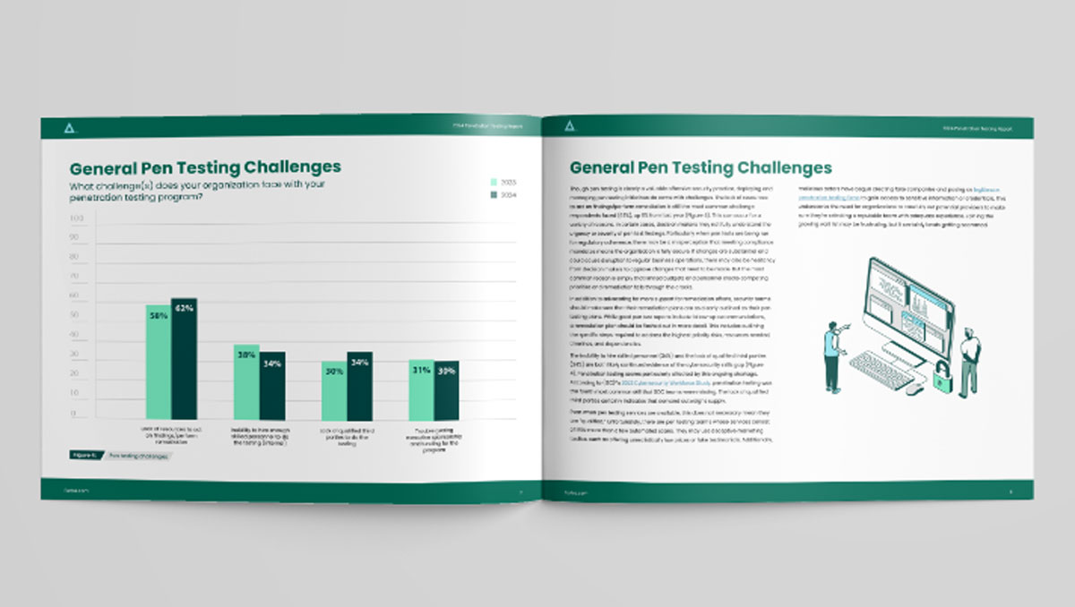 Penetration Testing Report