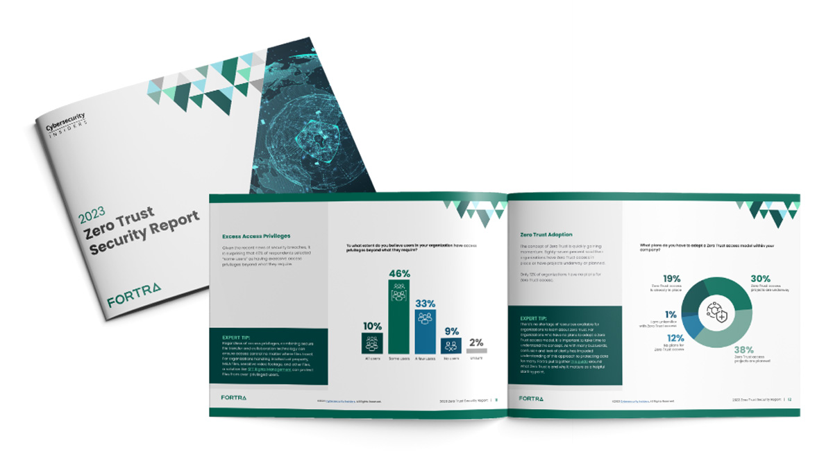 Zero Trust Security Report