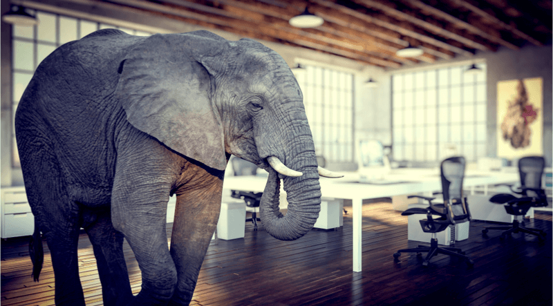 Addressing The Elephant in the Room: Cybersecurity's Increasing Talent Shortage