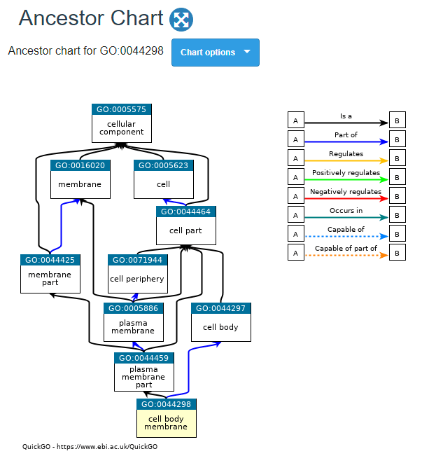 Attack-Structure-Part-2-Ancestor-Chart.png
