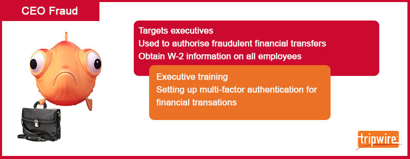 CEO-Factfile.jpg