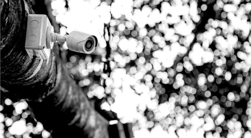 Do Security Cameras Undermine your Authentication?