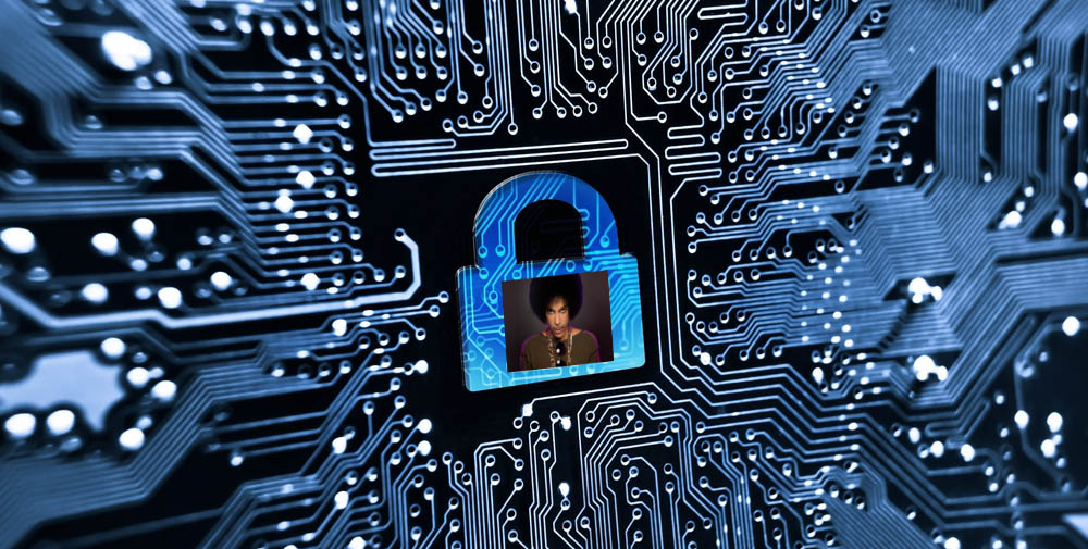 DBIR 2015: What Do Prince and Vulnerabilities Have In Common?