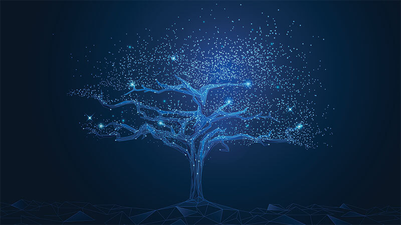 Strong Things Have Deep Roots: Capitalizing On Half a Century Of Positive Action In The Cybersecurity Sector