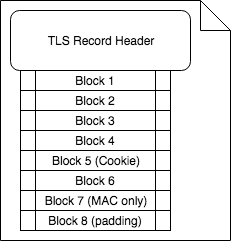 TLS-Record-Original.png