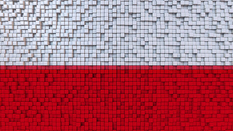 The State of Security: Poland