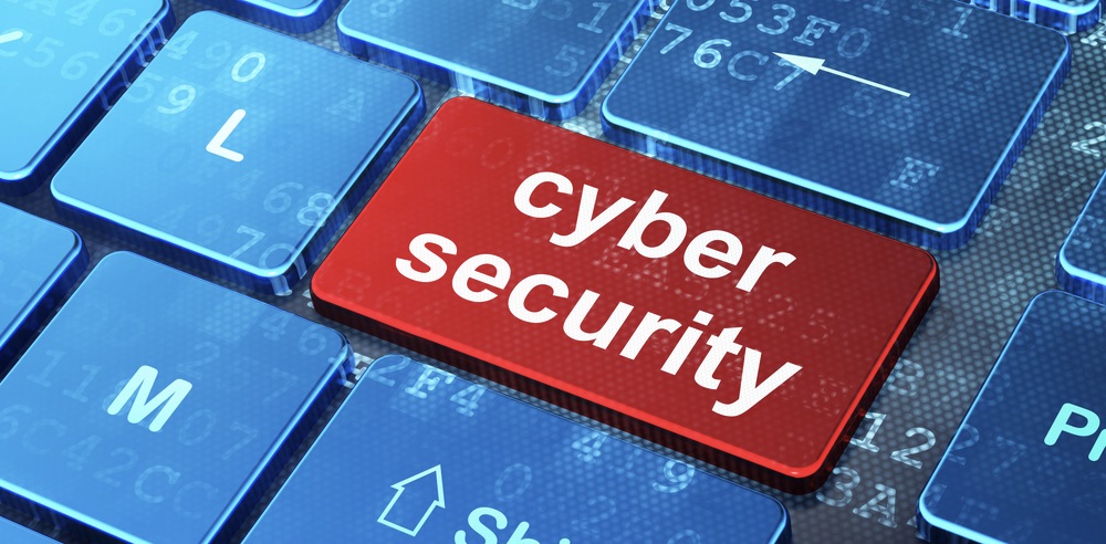 Do You Buy, Build, or Partner for Cyber Security Capability?