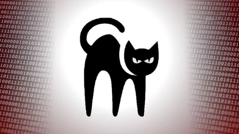 BlackCat ransomware - what you need to know
