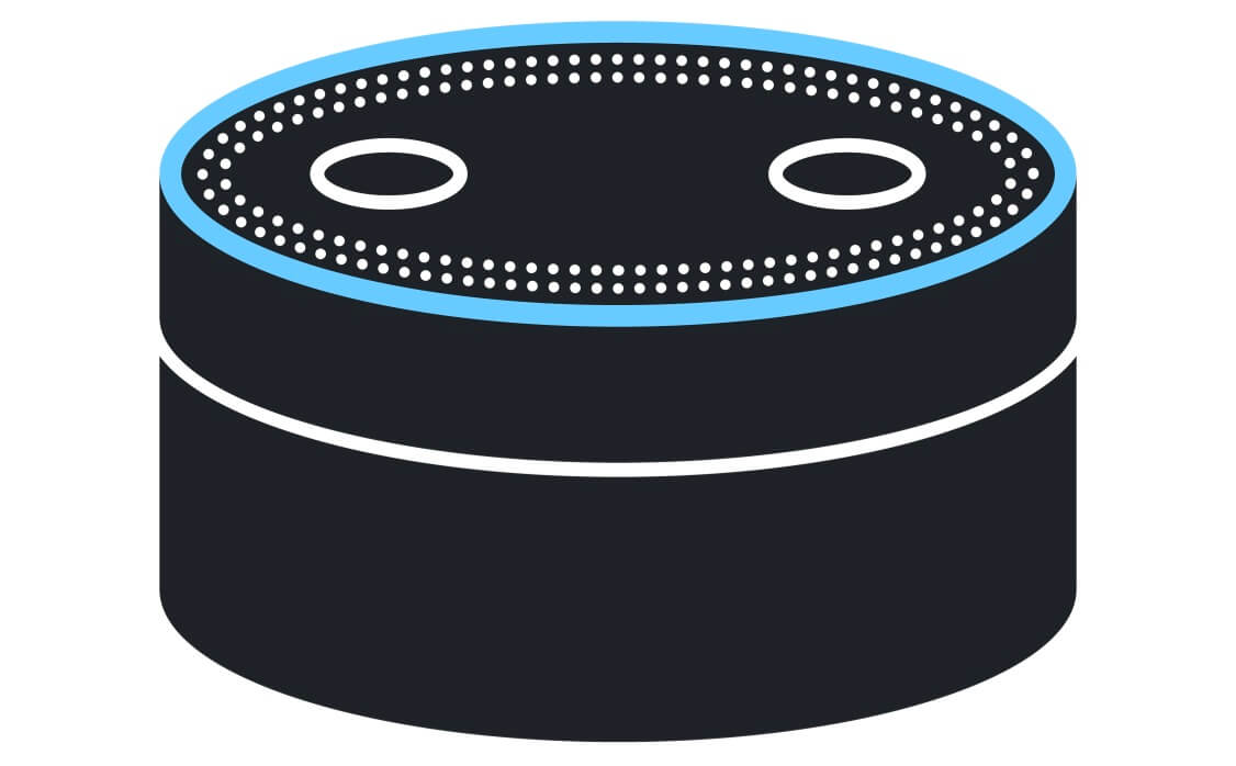 Alexa, Are You Keeping My Information Private?