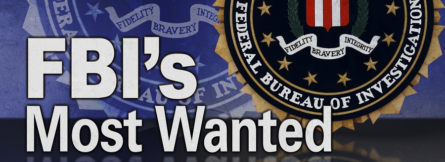 The FBI's 10 Most-Wanted Black-Hat Hackers – #2