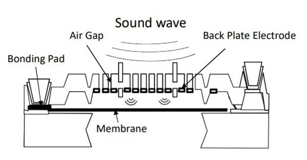 microphone.jpeg