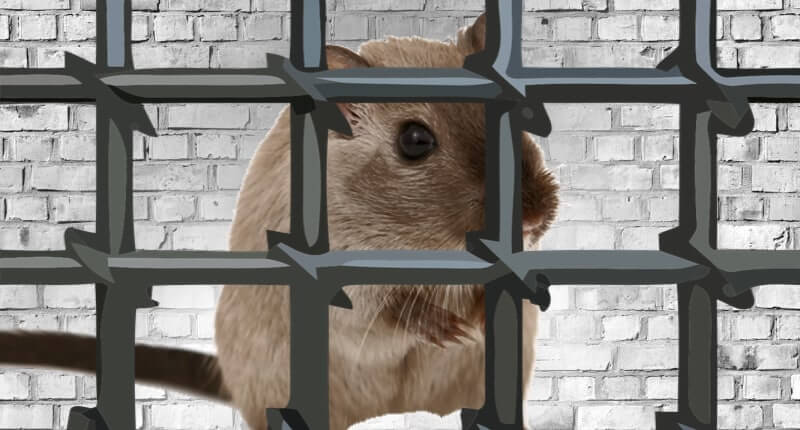 RAT author jailed for 30 months, ordered to hand over $725k worth of Bitcoin
