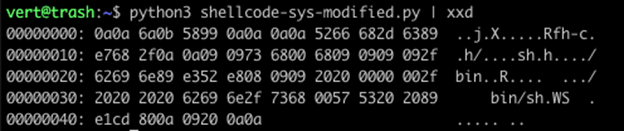 shellcode3.png