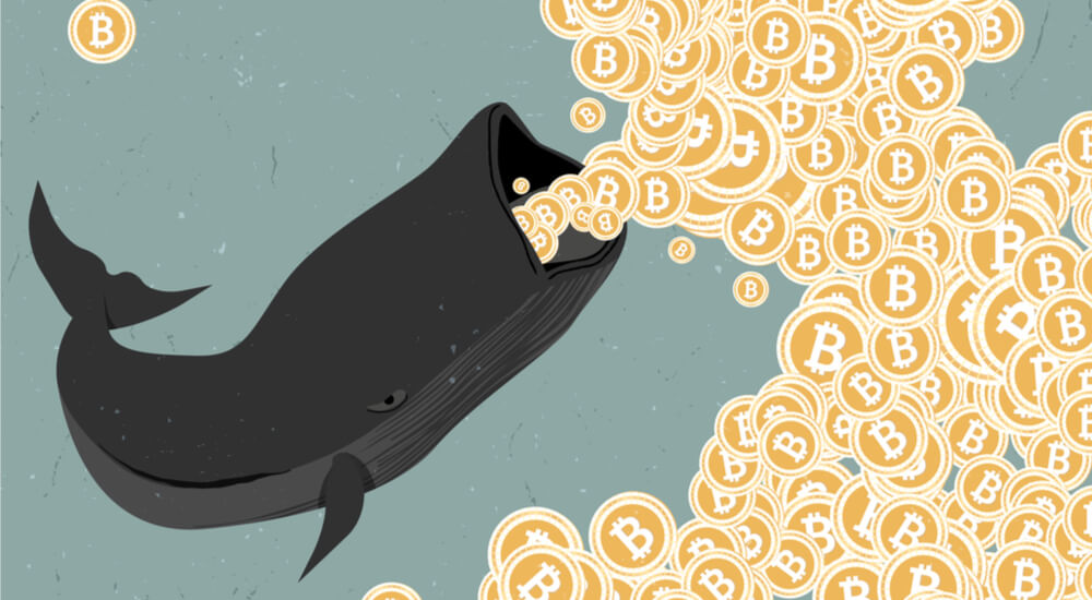 Harpoon Cannon Method: How Scammers Catch Bitcoin Whales