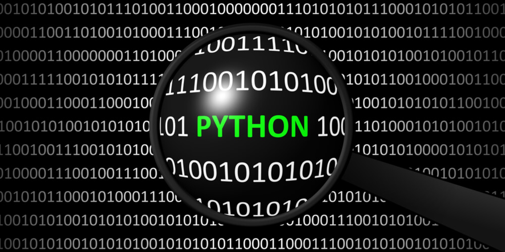 Digging for Security Bugs in Python Code