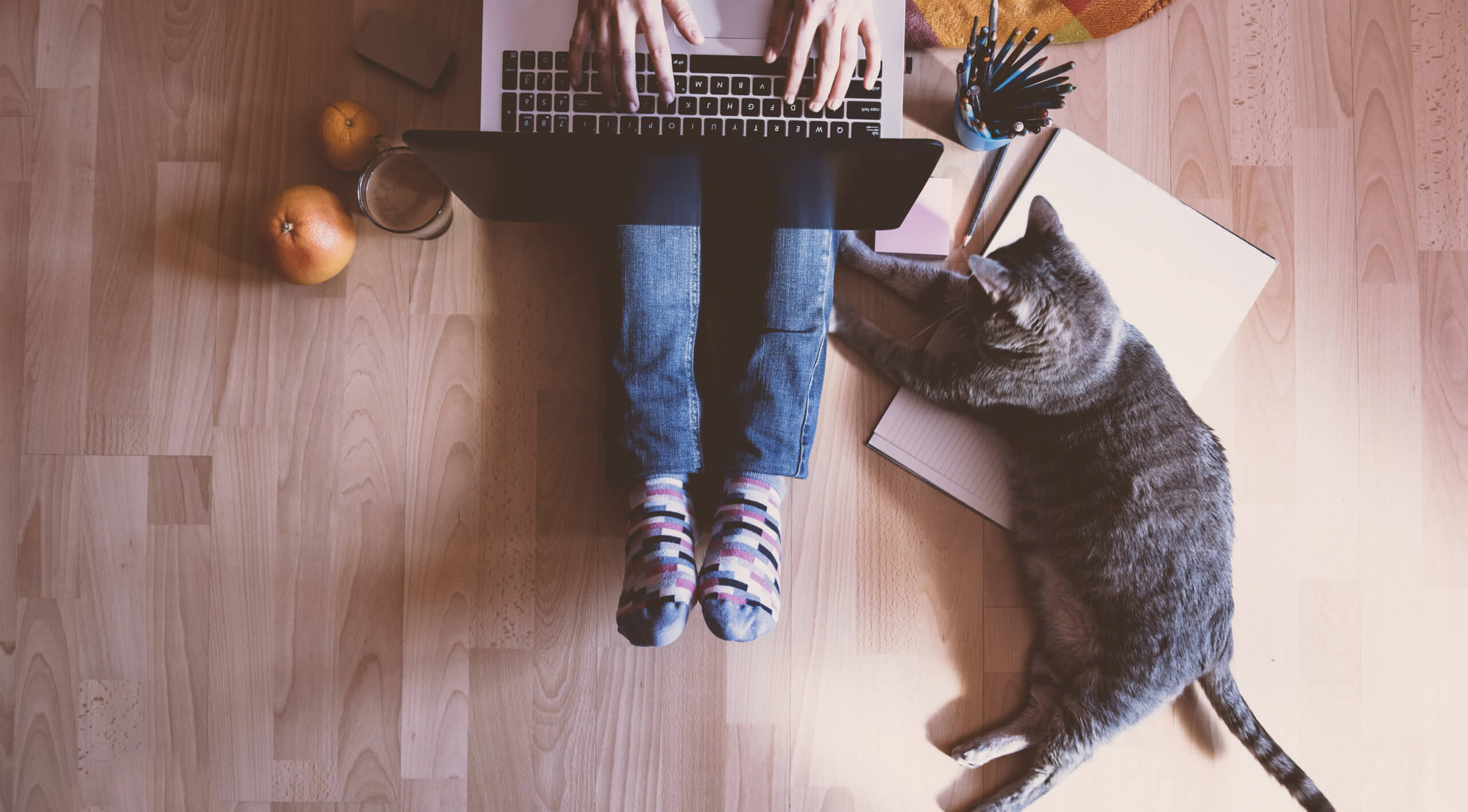 Working from Home during COVID-19? What You and Your Organization Need to Consider