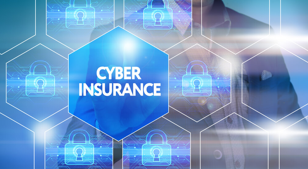 Cyber Insurance Coverage Concerns