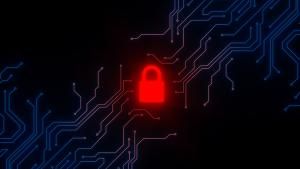 How an Intrusion Detection System Can Save Your Business