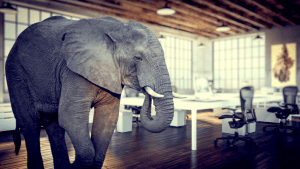 Addressing The Elephant in the Room: Cybersecurity's Increasing Talent Shortage