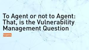 To Agent or Not to Agent: That Is the Vulnerability Management Question