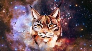 Cosmic Lynx: The Highly-Professional Cybercrime Gang Scamming Businesses Out of Millions of Dollars