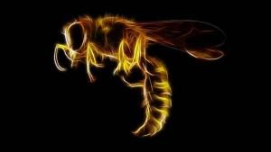 HiddenWasp malware seizes control of Linux systems