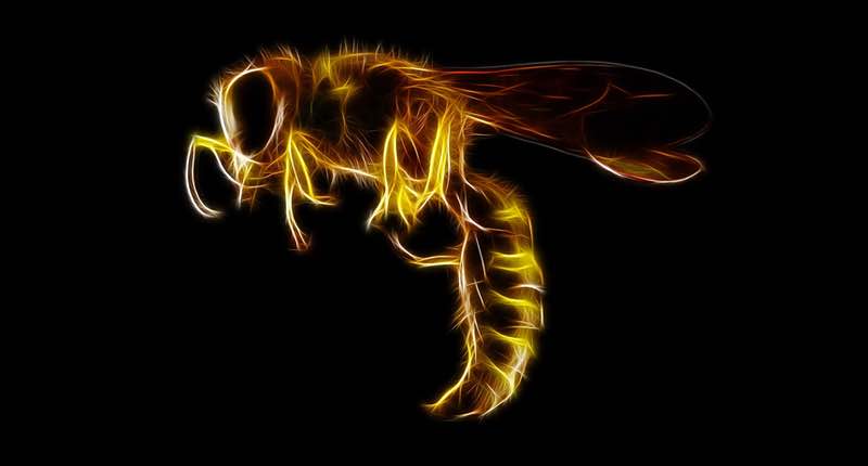 HiddenWasp malware seizes control of Linux systems