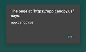 xss-pop-up.png